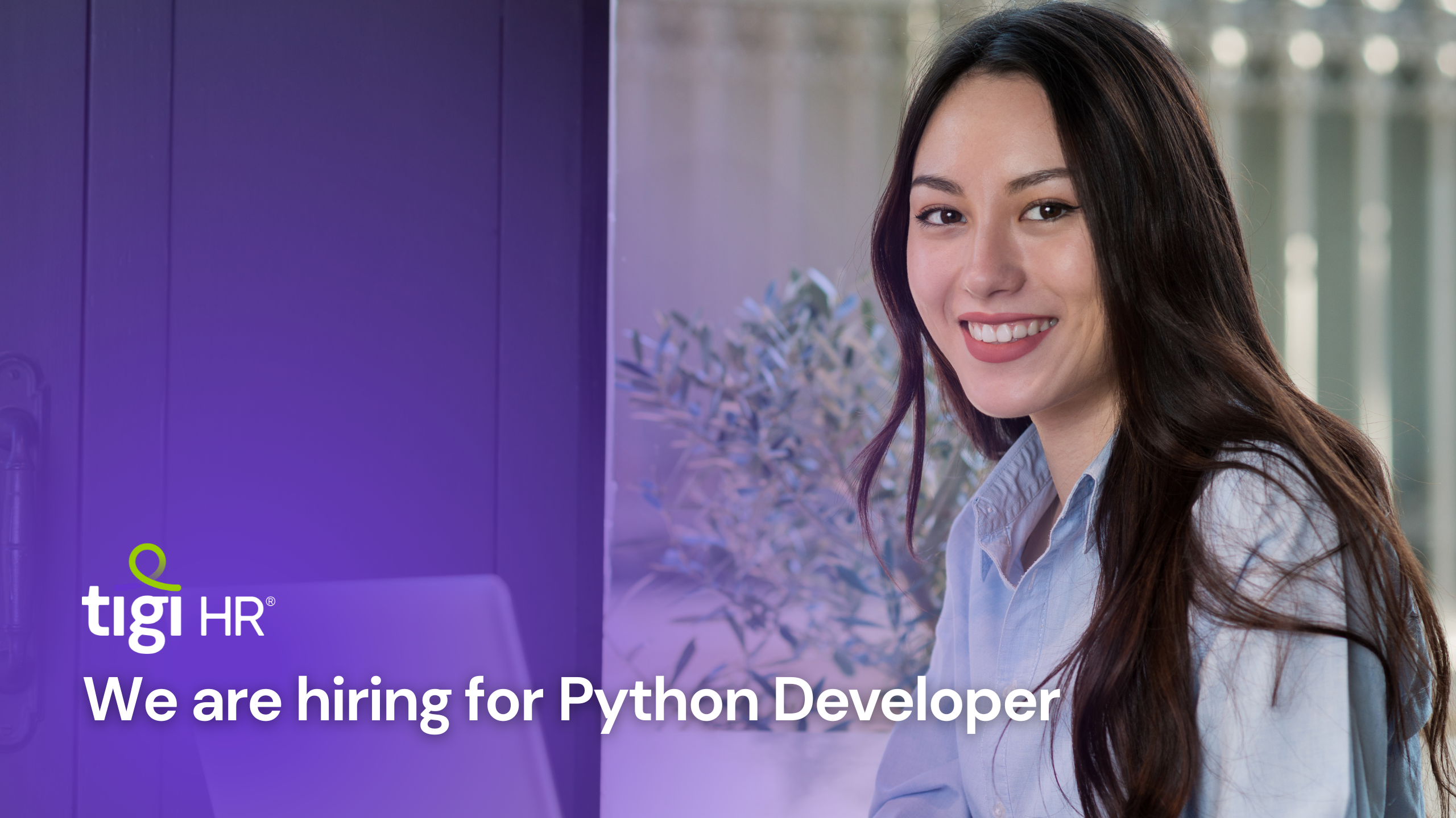 Python Developer