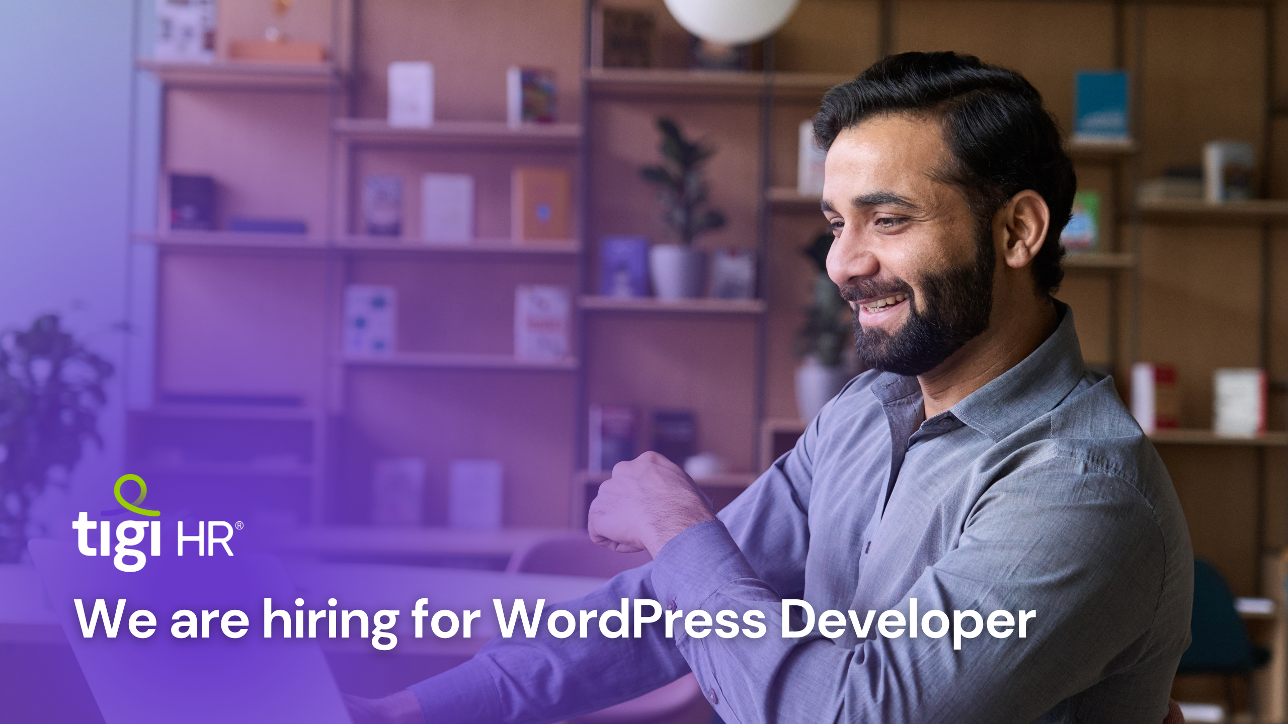 WordPress Developer